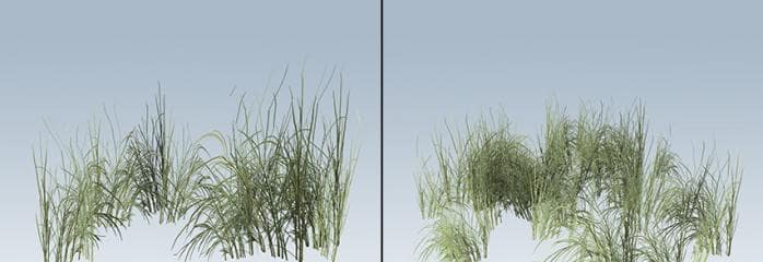 Rough_Grass_banner