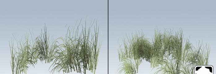 Rough_Grass_banner