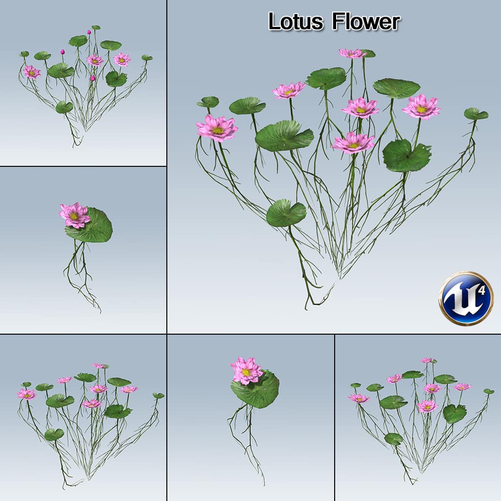 Lotus Flower (UE4) – SpeedTree
