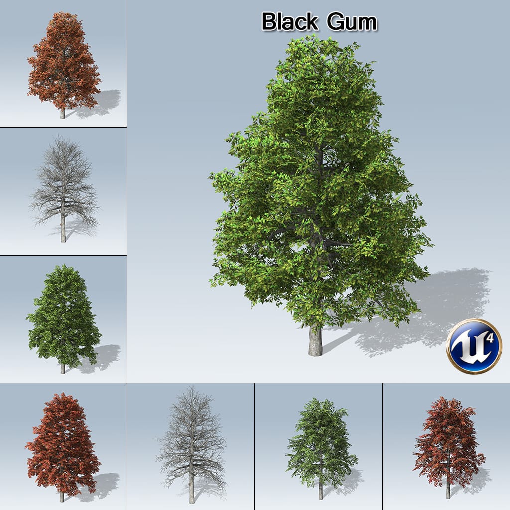 Black Gum (UE4)