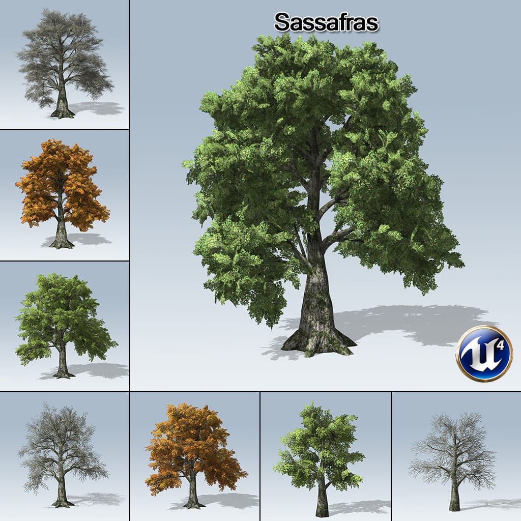 Sassafras (UE4)