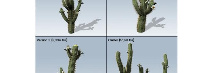 saguaro_cactus_banner