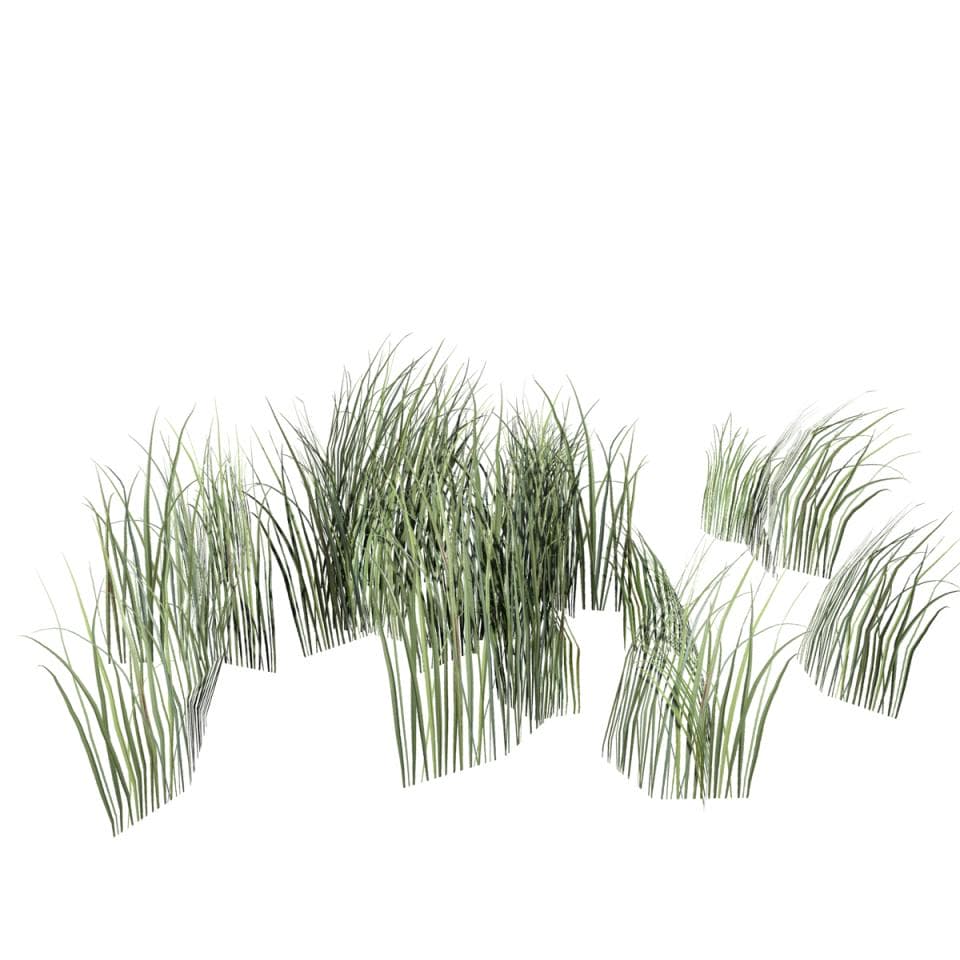 Rough Grass: Pack