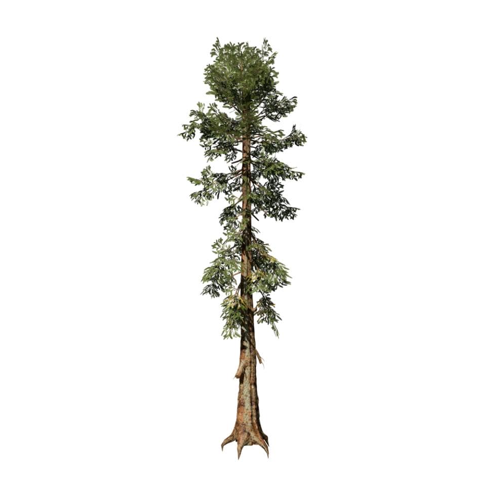 Giant Sequoia: Desktop Field