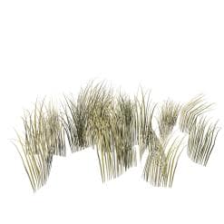 Rough Grass: Pack