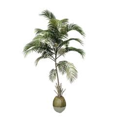 Coconut Palm: Desktop (Sapling)